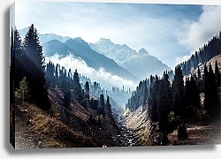 Постер Лесной ручей на фоне горных пиков в тумане