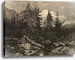 Постер Калам Александр Alpine Stream