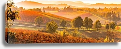 Постер Виноградники осенью, Италия