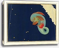 Постер Байер Иоганн Delphinus