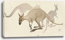 Постер Хойтема Тео Кенгуру