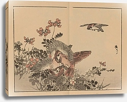 Постер Байрей Коно Байрей гафу, пл.04