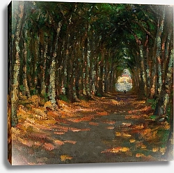 Постер Барни Элис Allee dans le Parc