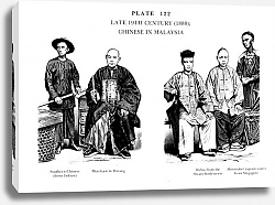 Постер Fin du XIXè Siècle (1880), Chinois de Malaisie, Late 19Th Century (1880), Chinese in Malaysia 2