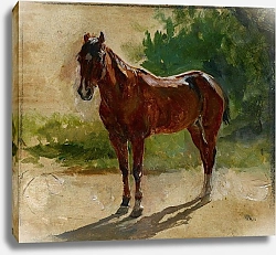 Постер Мейсоньер Эрнест Brown Horse, Study
