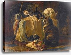 Постер Роннер-Нип Генриетта Kittens At Play