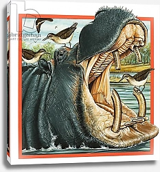 Постер Школа: Английская 20в. Hippopotamus 3