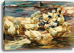 Постер Кестер Александр Утки вылезают из воды