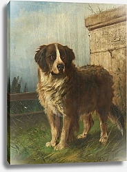 Постер Дейкер Карл St. Bernard in an Alpine Landscape