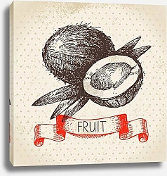 Постер Иллюстрация с кокосом