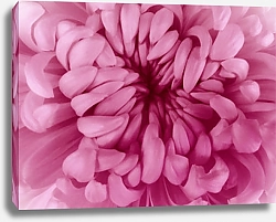 Постер Цветочный розовый центр