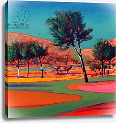 Постер Повис Поль (совр) Son Vida 2