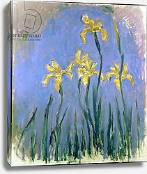 Постер Моне Клод (Claude Monet) Yellow Irises; Les Iris Jaunes, c.1918-1925