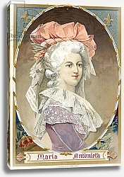 Постер Школа: Испанская 19в. Marie Antoinette