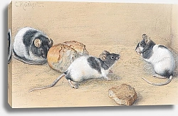 Постер Райхерт Карл Мыши