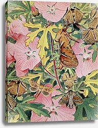 Постер Робер Поль-Андре Сильвин