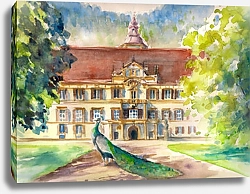 Постер Павлина в парке замка Эггенберг, Австрия