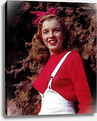 Постер Monroe, Marilyn 107