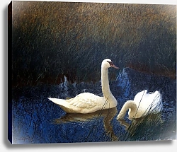 Постер Лильефорс Бруно Лебеди в камышах