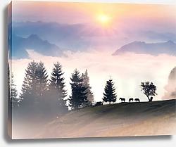 Постер Лошади в туманных холмах на рассвете