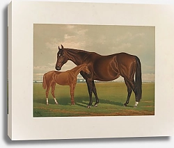 Постер Сталл Генри Невада