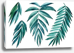 Постер Набор акварельных пальмовых листьев