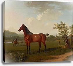 Постер Бидерманн Йоханн Pferde in Landschaft