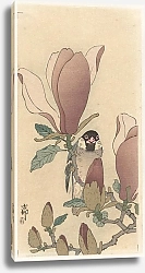 Постер Косон Охара Sparrow on blooming magnolia branch