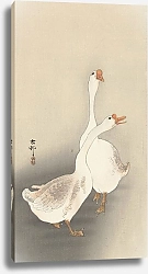 Постер Косон Охара Two geese.