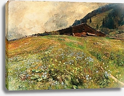 Постер Эгнер Мари Tirol, Alpenwiesen