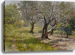 Постер Чейз Уильям Оливковая роща