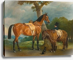 Постер Фернли Джон Охотник Леди Торольд и Шетландский пони С Грумом