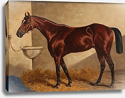 Постер Сталл Генри Генерал Монро в конюшне