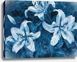 Постер Catching night images of lilies