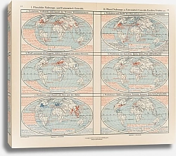 Постер Фридрих Эрнст Pflanzliche Nahrungs- und Futter-mittel; Getreide