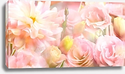 Постер Pink peony flower background