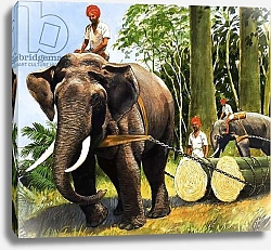 Постер Дэвис Р. (жив, дет) Elephants at work