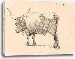 Постер Ландби Йохан Римский бык с колокольчиком на шее, если смотреть наискось сзади