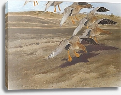 Постер Лильефорс Бруно Дикие гуси