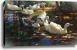 Постер Кестер Александр Семь уток в тенистом лесном пруду