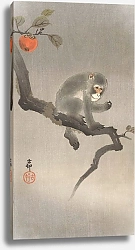 Постер Косон Охара Monkey in kaki tree