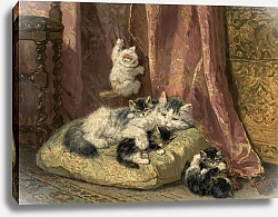 Постер Роннер-Нип Генриетта Kittens at Play