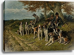 Постер Эммс Джон Ньюфорестские гончие