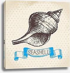 Постер Иллюстрация с ракушкой