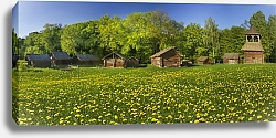 Постер Деревянные дома на поле одуванчиков
