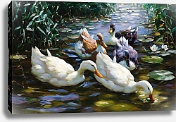 Постер Кестер Александр Пять уток