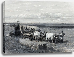 Постер Чолковский Леон Hunting bustards