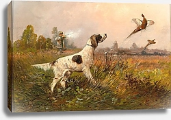 Постер Мюллер Моритц Охота на фазана