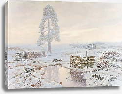 Постер Рапацкий Юзеф Winter landscape
