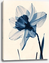 Постер Nightfall daffodil symphony